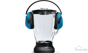 مخلوط کن بوش (BOSCH) مدل MMB65G5M